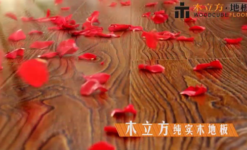 ľ�����ؽ�y����ҕƽ�_ �_չ��һ݆�ďV��չ��