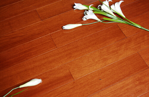 ��ͥ�b��������m��ľ�ذ���˽�N��_ʼ