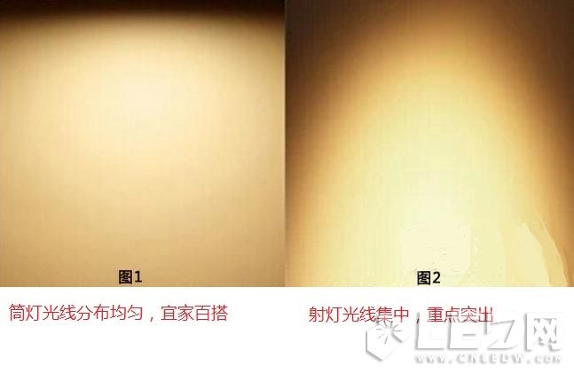 ���գ�LED�����LEDͲ�� ɵɵ�ֲ�����