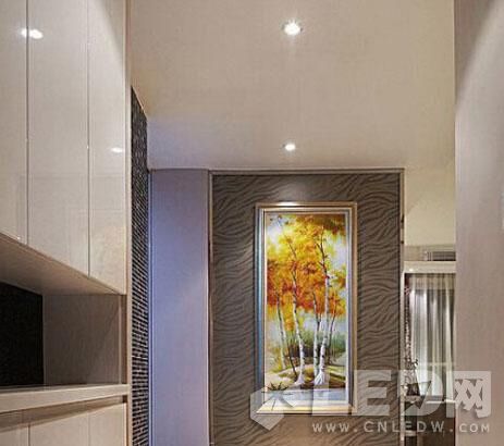 ���գ�LED�����LEDͲ�� ɵɵ�ֲ�����