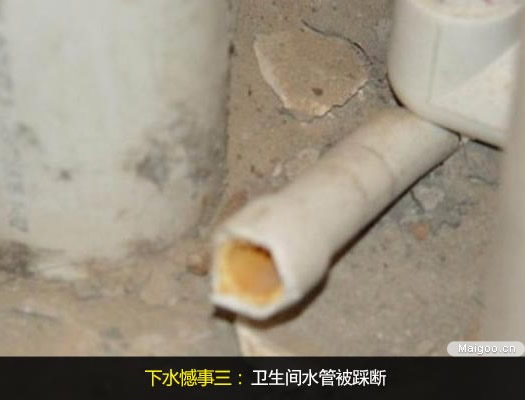 ϴ���g�_(t��i)�P�b�����(xi��ng) С���l(w��i)ԡ�b���z��