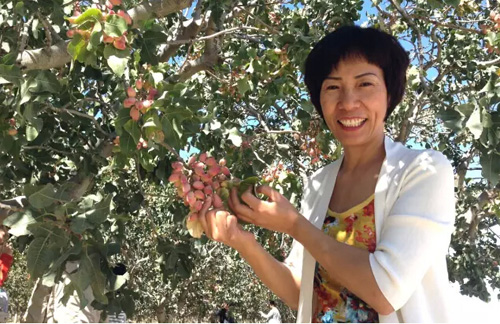 ����t :����(li��n)�W(w��ng)+���r(sh��)�� O+O΢���ģʽ���_����