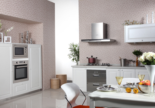 �o��ăr(ji��)��(j��ng)��(zh��ng)Ӱ푏N��ИI(y��)���w�l(f��)չ