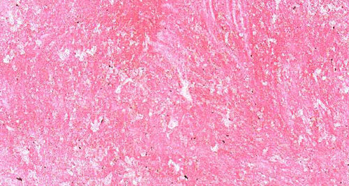 ����ˇ�g(sh��)Ϳ��Ʒ�ƣ�С�����w�f(shu��)�f(shu��)ˇ�g(sh��)Ϳ��