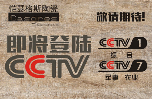 2017��æ����ɪ��˹�մ�ϯ����ҕ