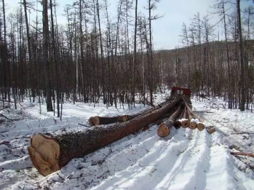 �������_(d��)Ʒ�ơ���ɼľ��ģ���ȻľԴ������֮��