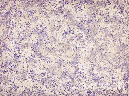 �\Մ���҇�ˇ�g(sh��)Ϳ���ИI(y��)���ЏV韵��Ј�(ch��ng)����