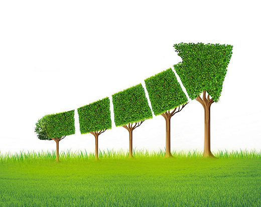 �Ї�(gu��)�T(m��n)����I(y��)�ф�(chu��ng)������l(f��)չ��(zh��n)�� �e�O�`�оGɫ�l(f��)չ����