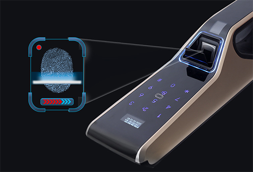 ʮ�������iƷ�ƣ���(sh��)����(y��u)���������ھ�(xi��n)