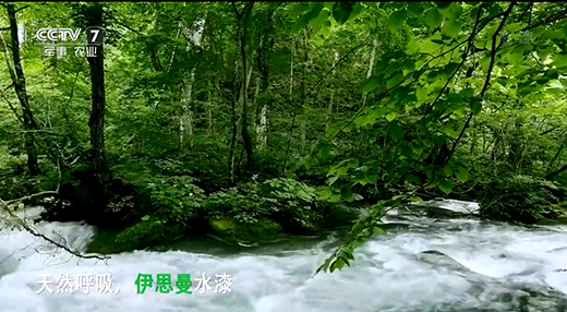 ��˼��ˮ��s����ҕ �c��ͬҊ(ji��n)�C�h(hu��n)��Ʒ�Ƶĺ�������