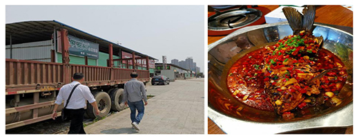 ���꼊��ϴ�������y���S�~�t����