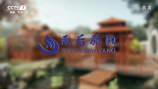 �����(y��ng)���ď�(qi��ng)��(sh��)�����ҕ ���f�(y��ng)��������