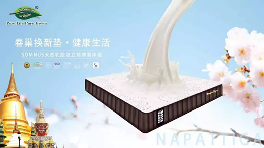 �����ٿ��Ƴ�Napattiga����Ͳ���z���|