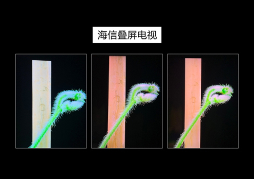 �Z���t�����ż����l(f��)��ȫ�����_�B���ҕ��