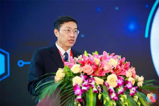 ���������i��2019�V�ݽ�������푡��(qi��ng)����