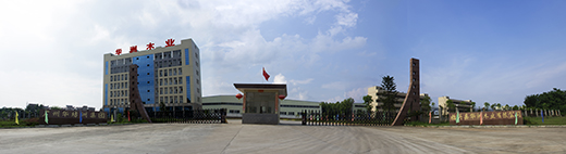 �A��ľ�I(y��)���Ʒ�ƠI�N�ƏV�M(j��n)����