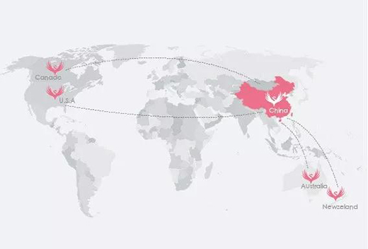 �댚���|��ע�Ї����M�ߵ�˯����ϲ�@�Ї�500��߃rֵƷ��