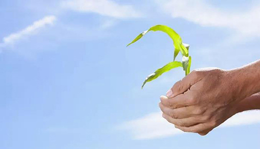 ˮ�������������ɱ��q15%�����h(hu��n)���_(d��)��(bi��o)�p�����N��������