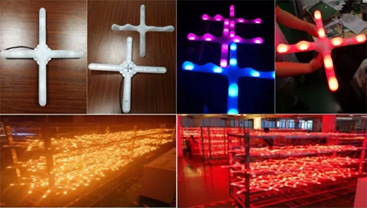 ��ʿ�����s�@��2019�������@�������aƷؕ�I����