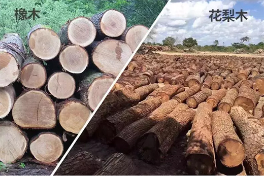 ���Ї�(gu��)ʮ��Ҿ�����Ʒ�ơ���ʿ�������������