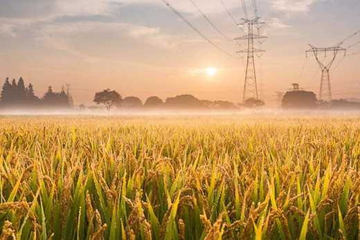 ˷���T�I(y��)| ̎����������˶�ֹ��