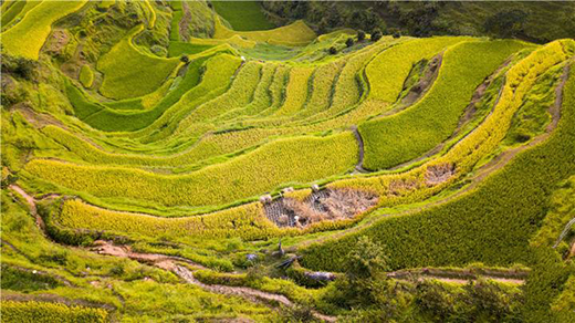 ˷���T�I(y��)| ̎�������˶�ֹ��