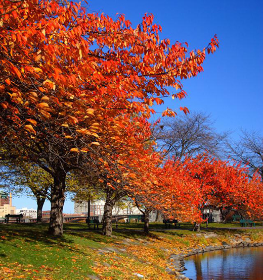 ������ԡ��EA5�����������������ԡ