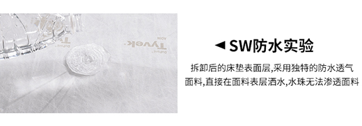 ���L(f��ng)�������x�w���|�����|׌���������x�ɔ_