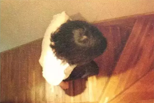 ���_�������g(sh��)���ص����˞鱾�Č����(l��i)Մ�Ҿ������O(sh��)Ӌ(j��)