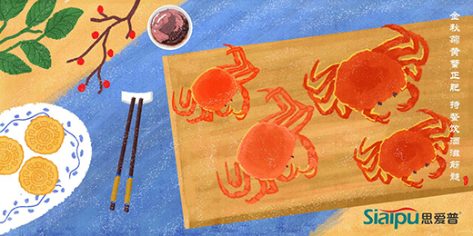 ˼����������o��ʹ����һ��ϴ���峺����