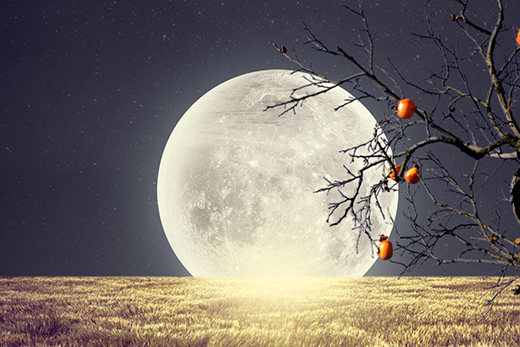 Ľ̩MUTAI�i�ߣ����iס���r�g