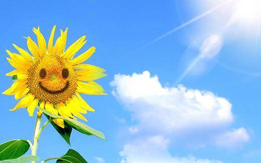 ��(d��ng)������(hu��)�����l(shu��) ���A�������c������