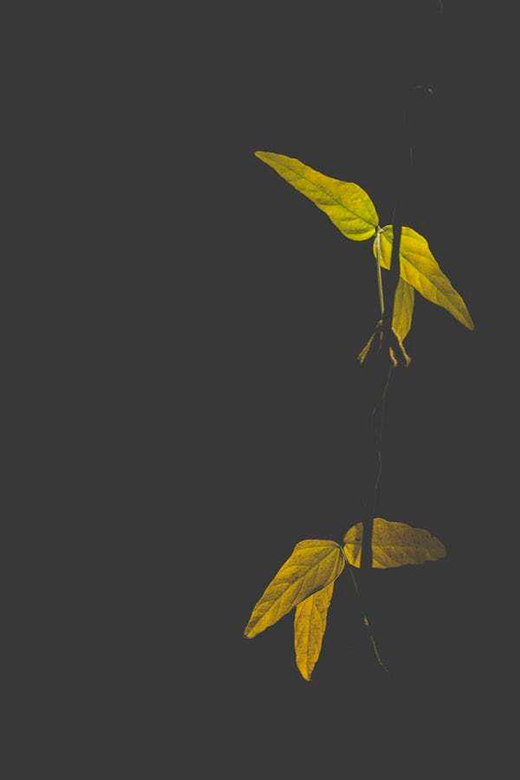 ������ν���ꖹⷿ��׌����ܴ��������!