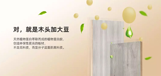 ���c�oȩ�������B(t��i)�壬�o����һ������ȩ���ļ�