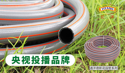 2019�չ�֮�� �|��ܘI(y��)��ҕ�V��Ƭ�_��