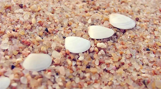 ؐ����׌��ȩ�o̎�� ׌ˇ�g��ӯ�������g