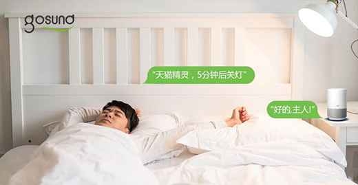 С���δ��ǻ���Gosund���ܲ�������֮�g�������m�Ҿ�