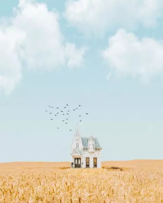 ���P���T(m��n)�I(y��)��2019�ի@�M(m��n)�M(m��n) 2020�_(k��i)��������