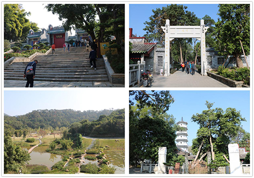 ���Y�Ó���(l��)�ж�֮�� ӭ�L(f��ng)����