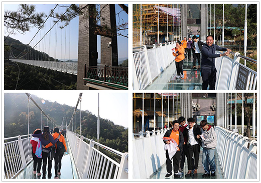 ���Y�Ó���(l��)�ж�֮�� ӭ�L(f��ng)����