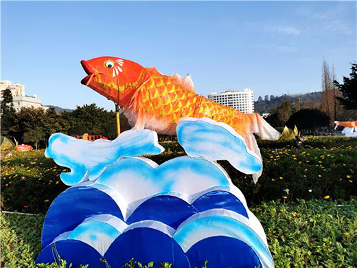 ���㡰���~(y��)�S���T����I(y��ng)�����(m��ng)�ƻ��´���ɫ