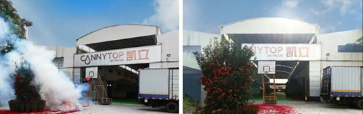 ���A2020 | �P����ԡ�������ľ������_����