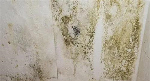 ��Ϳؐ���۾��п����־�����������Ч���ͽ����Ⱦ����