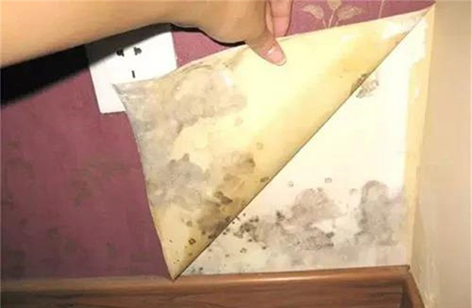 ��Ϳؐ���۾��п����־����ã�����Ч���ͽ����Ⱦ����