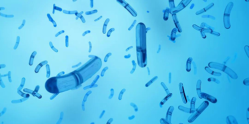 ��ˮ�ИI(y��)��������������I(y��)ԓ����� ���N���y�}?