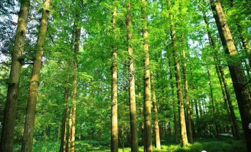 ����֮��������Ψ�н����o�r(ji��)����ʮ����Ʒ�ưٵČ�