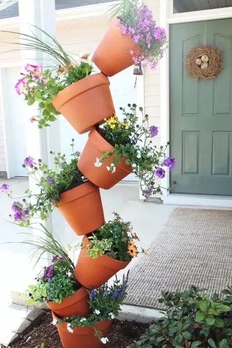 TCL�A�����������N��һƬ��G��׌����͹����������C(j��)