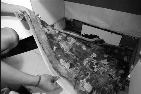 Ӳ�˶��� | �����Ҿӑ�(zh��n)������ ����լ ������!