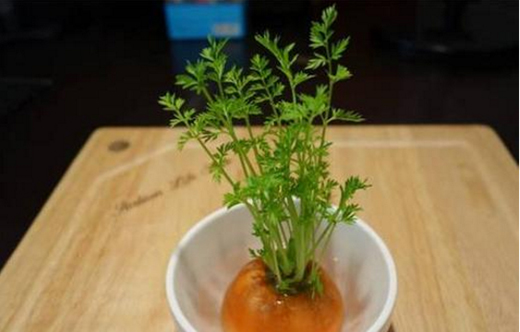 ���P���ߌ�(du��)���w�����Л](m��i)��Ӱ�