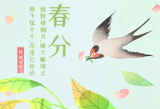 ���P��ľ�T(m��n)����ؓ(f��)���ⲻؓ(f��)��(m��ng)����